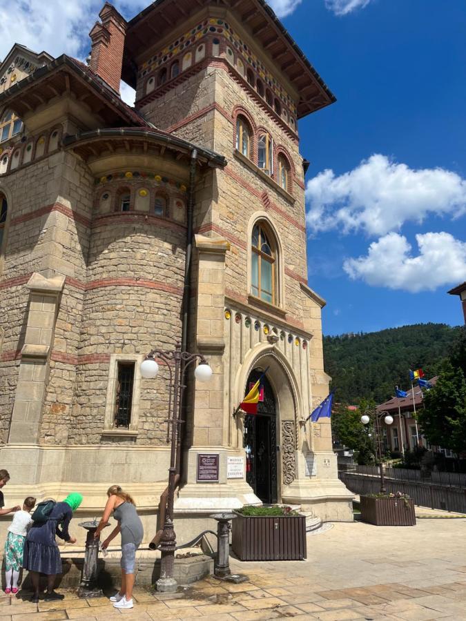 Cazare David Si Familia . Piatra Neamt Bagian luar foto
